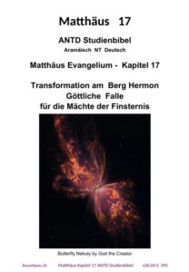 Matthäus 17 ANTD Sudienbibel Titelbild